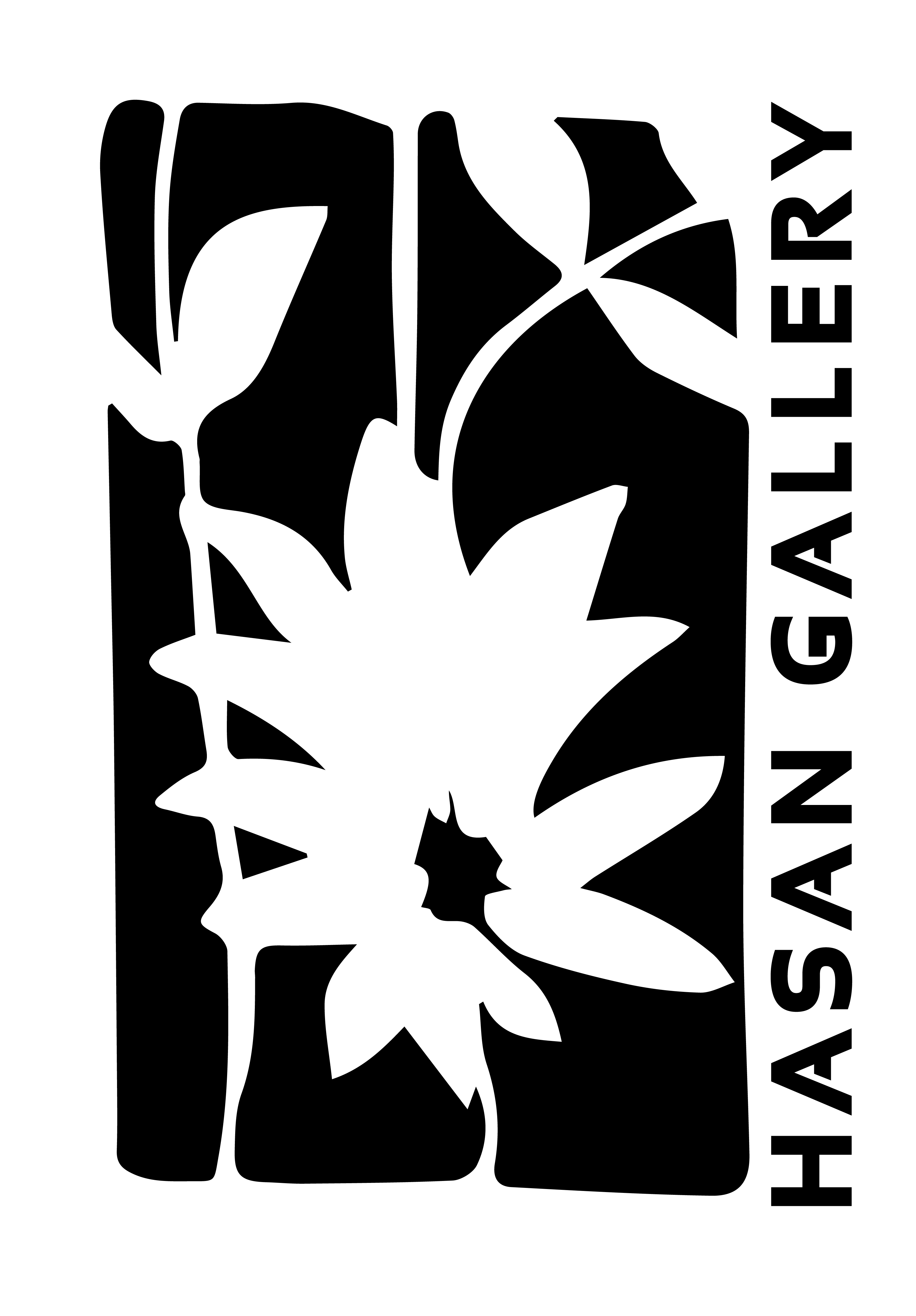 Hasan Gallery